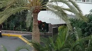 酒店 Riu Papayas 普拉亚戴尔雷安格莱斯